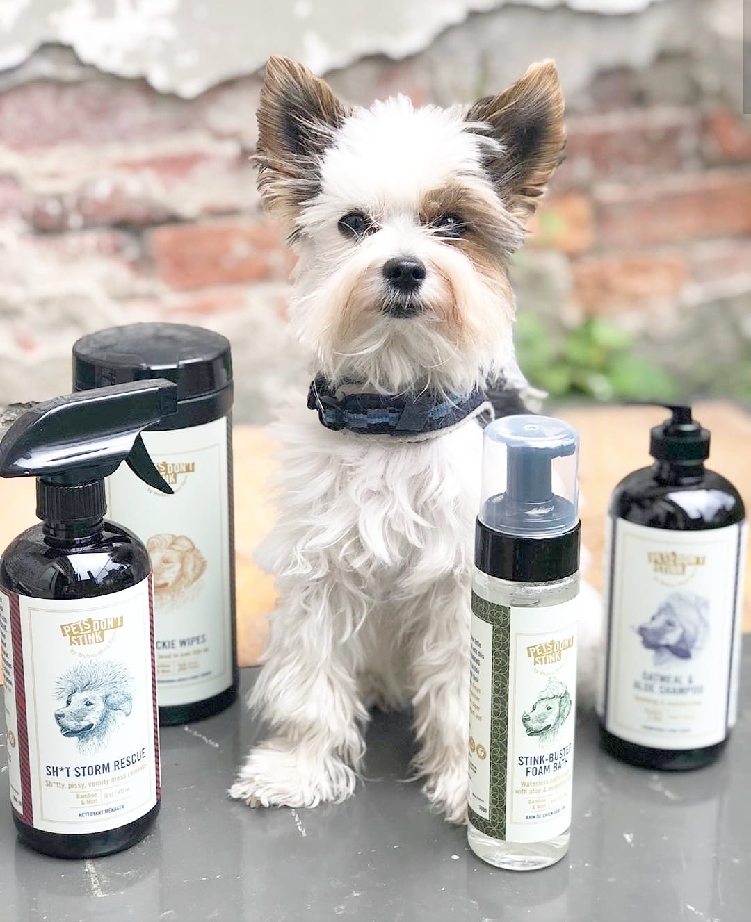 Pets / Plant Based Pet Care | The Wandering Merchant Premium Canadian Goods