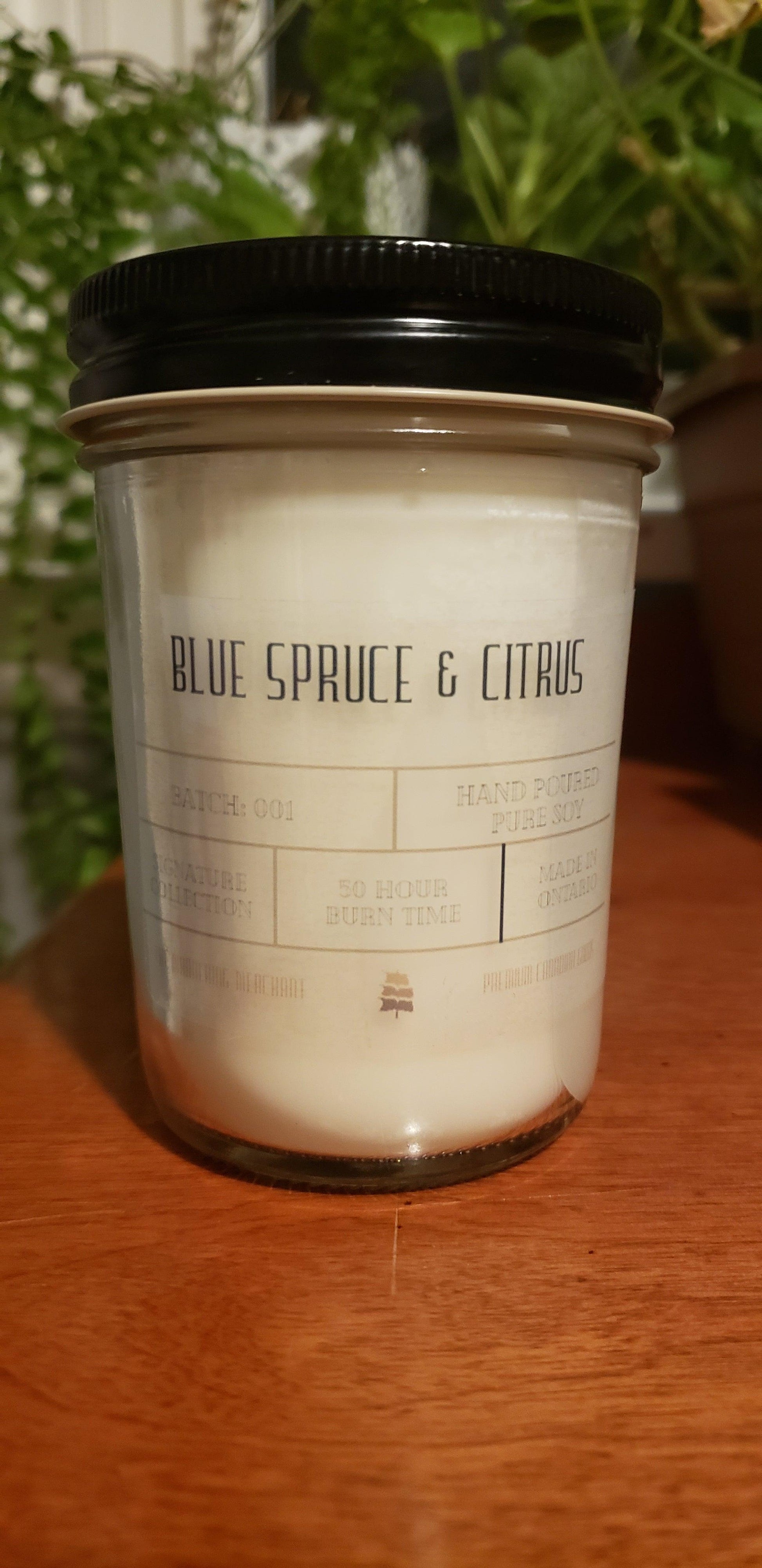Artisan Soy Candle - Blue Spruce & Citrus | Winter Collection - The Wandering Merchant