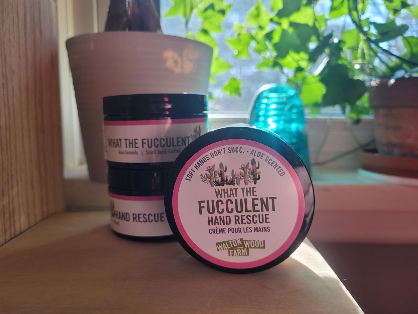 What The Fucculent Hand Rescue - Aloe