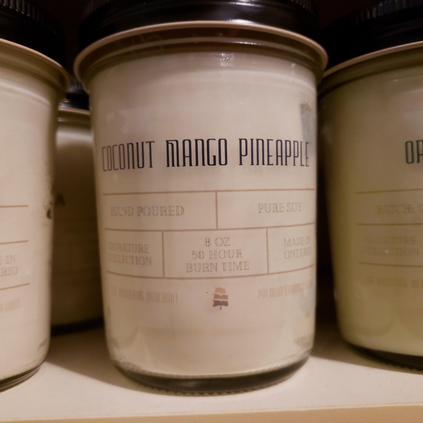 Artisan Soy Candle - Coconut Mango Pineapple | Spring & Summer Collection - The Wandering Merchant